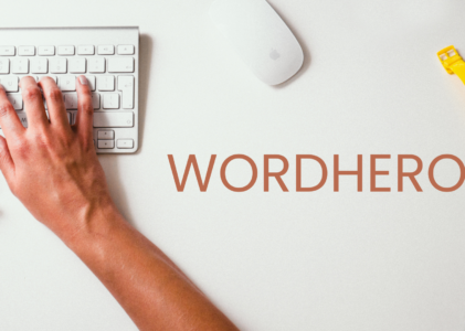 Wordhero Review 2024 – Incredible tool for writers of all levels